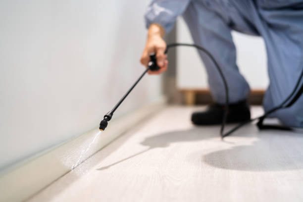 Licensed Pest Control service in Champlin, MN - Show Me Pest Control